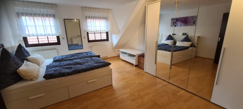 Spacious & beautiful apartment in Weiterstadt - Gallery - 22