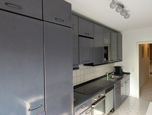 Fantastic flat close to Darmstadt, Frankfurt and Mainz - Gallery - 6