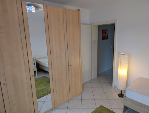 Fantastic flat close to Darmstadt, Frankfurt and Mainz - Gallery - 13