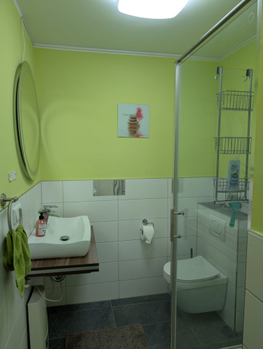 Fantastic flat close to Darmstadt, Frankfurt and Mainz  - Gallery -  5