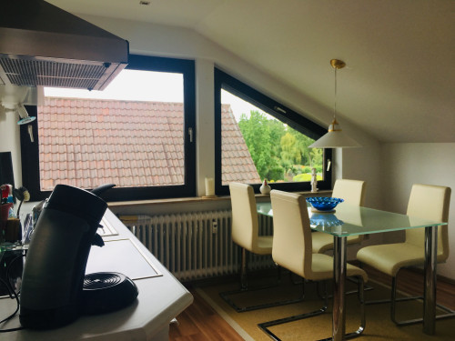 Perfect, lovely apartment in Rüsselsheim am Main  - Gallery -  5