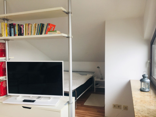 Perfect, lovely apartment in Rüsselsheim am Main - Gallery - 7
