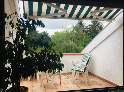 Perfect, lovely apartment in Rüsselsheim am Main - Gallery - 10