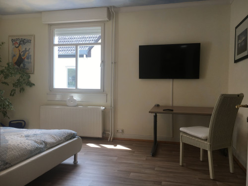 Luxary apartment for 3-4 persons in Villa in Rüsselsheim with air conditioning - Gallery - 20