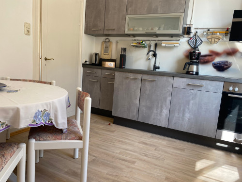 Luxary apartment for 3-4 persons in Villa in Rüsselsheim with air conditioning