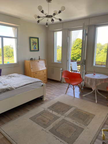 Luxary apartment for 3-4 persons in Villa in Rüsselsheim with air conditioning  - Gallery -  5