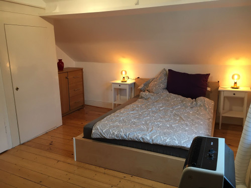Luxary apartment for 3-4 persons in Villa in Rüsselsheim with air conditioning - Gallery - 7