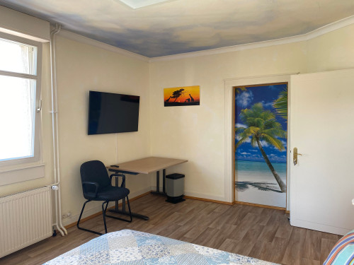 Luxary apartment for 3-4 persons in Villa in Rüsselsheim with air conditioning - Gallery - 21