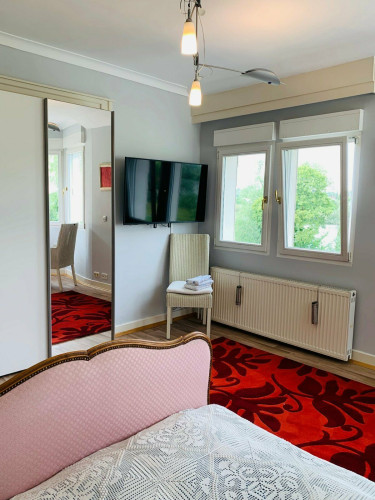 Luxary apartment for 3-4 persons in Villa in Rüsselsheim with air conditioning - Gallery - 26