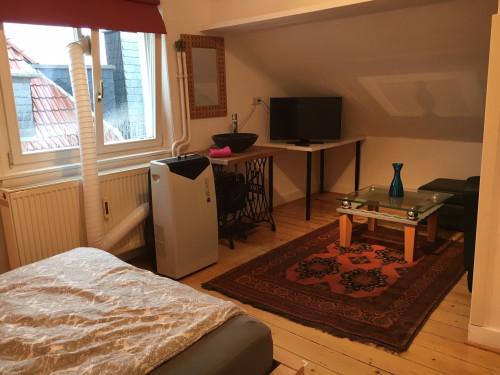 Luxary apartment for 3-4 persons in Villa in Rüsselsheim with air conditioning - Gallery - 6