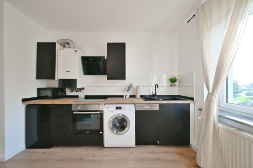 Renovated City Apartment with Dedicated Workspace - Gallery - 8