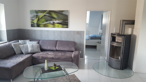 Bright apartment in Mülheim an der Ruhr with fireplace, garden and fitness room