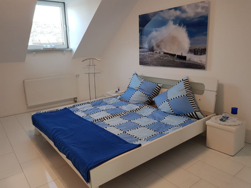 Bright apartment in Mülheim an der Ruhr with fireplace, garden and fitness room