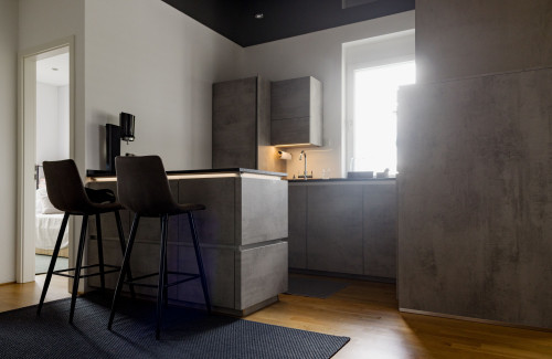 Stylish Penthouse Apartment with Rooftop Terrace near River Ruhr & Central Station