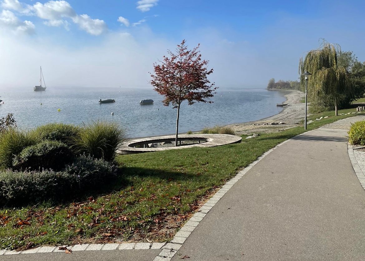 Spacious, Modern Living With Lake Constanze View - 3