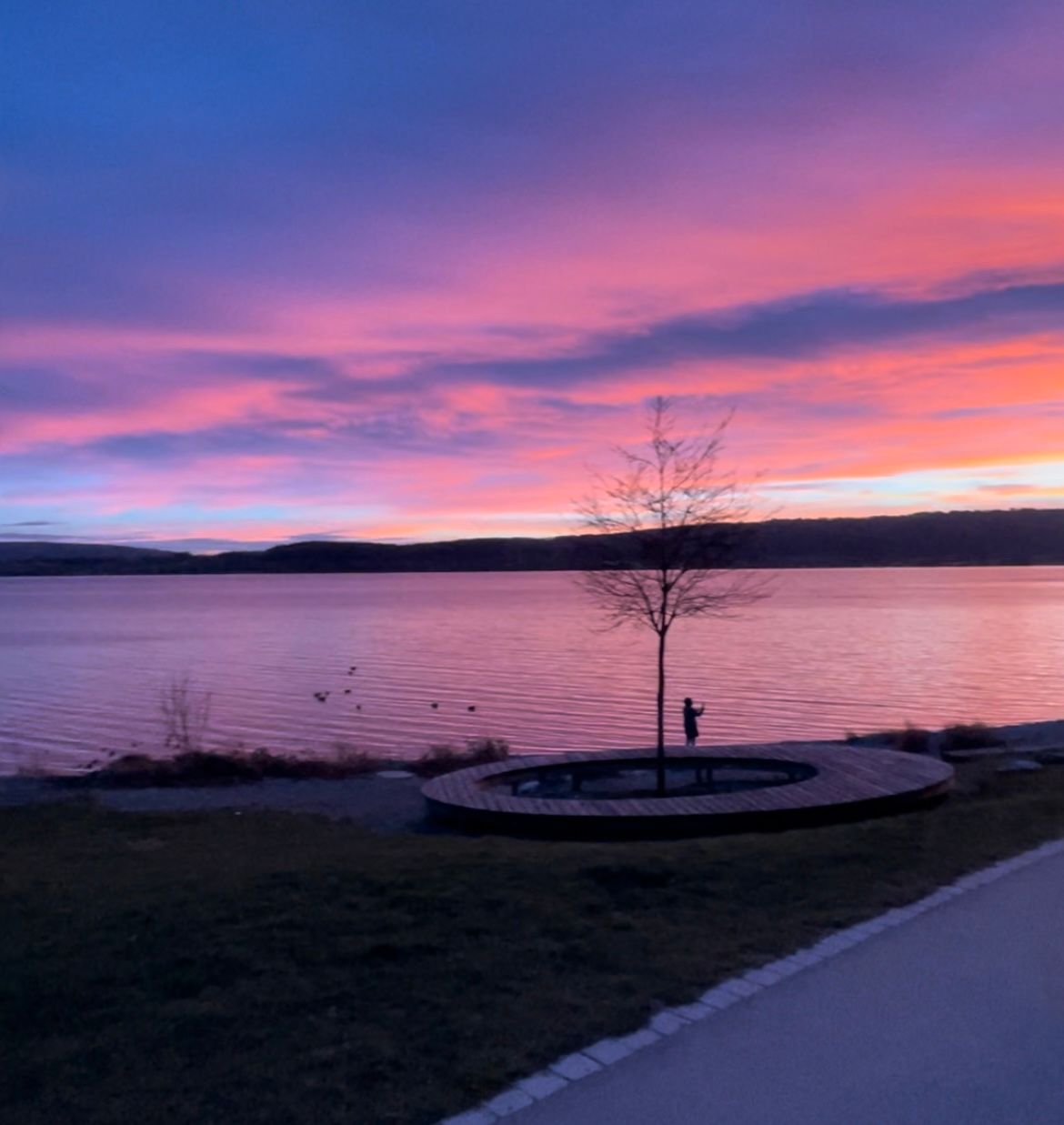 Spacious, Modern Living With Lake Constanze View - 2