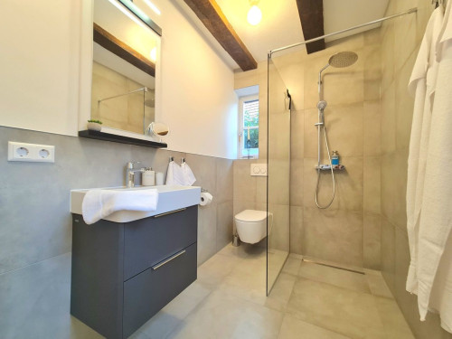 AVAHOME: Stylish apartment for 6 in Kandel / near Karlsruhe, WiFi, parking, Netflix, kitchen, Nespresso, washing machine, dryer - Gallery - 18