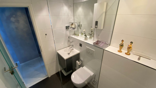 Luxurious ground floor apartment in a central location