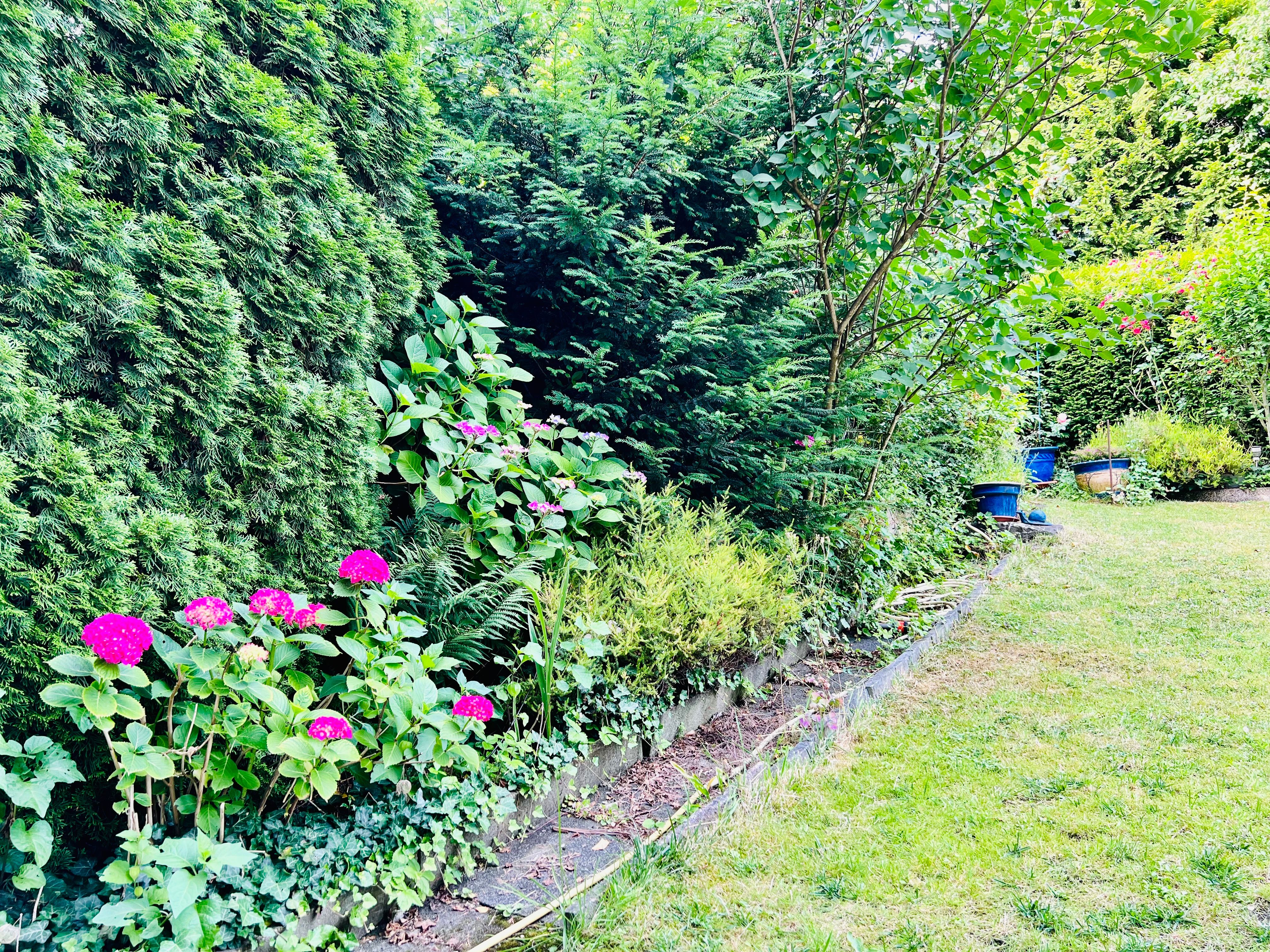 Gorgeous Suite In Mülheim An Der Ruhr  -  Gorgeous suite in Mülheim an der Ruhr  - Gallery -  2