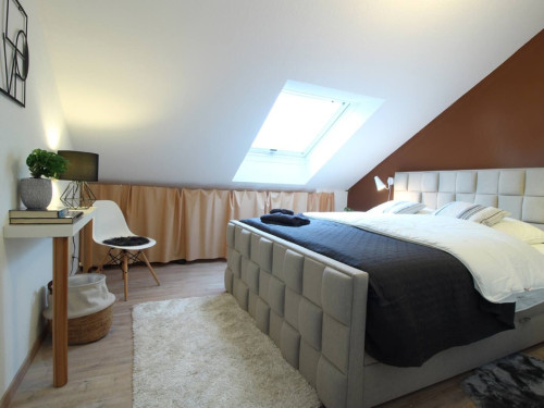 Awesome, beautiful apartment, Paderborn