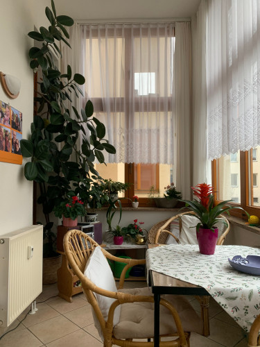 Comfortable, bright home in Dessau-Roßlau