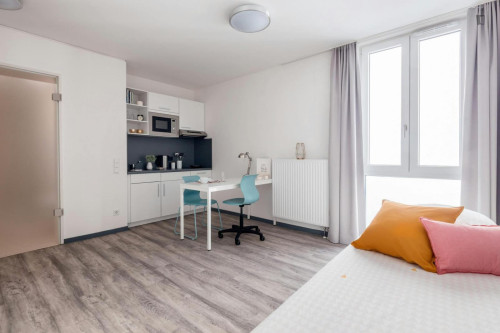Welcoming and bright studio in Innere Neustadt