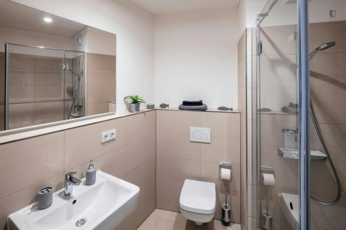 Welcoming and bright studio in Innere Neustadt