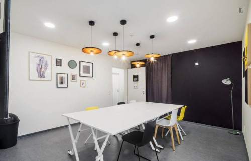 Welcoming and bright studio in Innere Neustadt - Gallery - 44