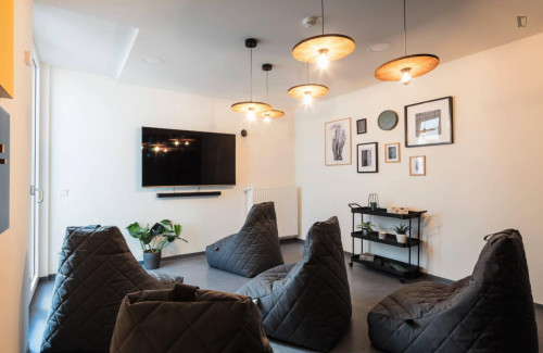 Welcoming and bright studio in Innere Neustadt - Gallery - 45