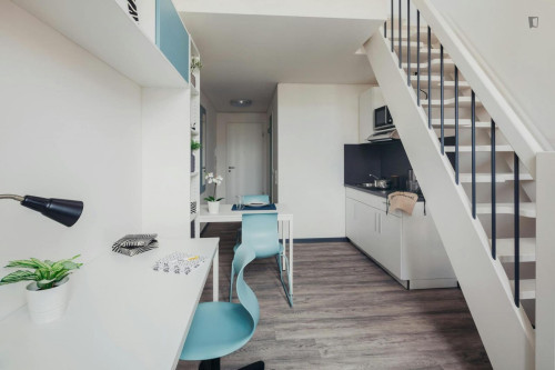 Welcoming and bright studio in Innere Neustadt