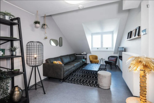 Welcoming and bright studio in Innere Neustadt - Gallery - 42