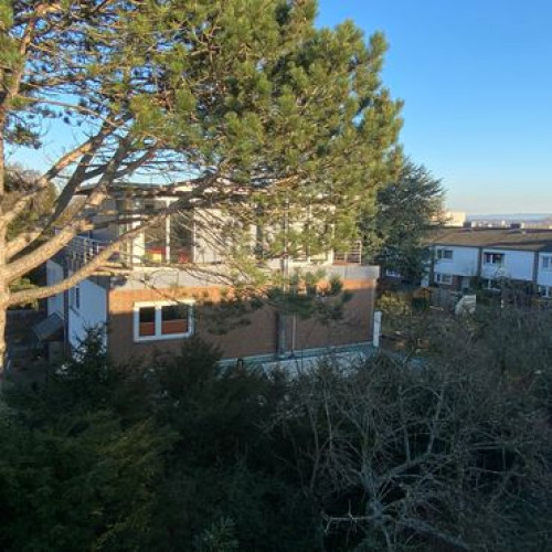 beautiful, bright shared room in an old estate