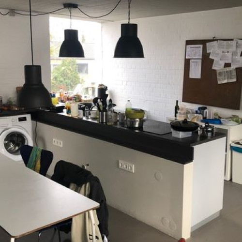 beautiful, bright shared room in an old estate