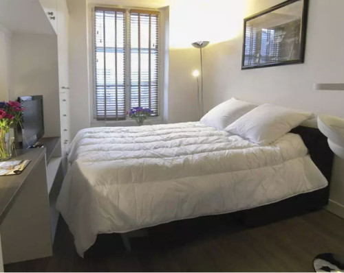 Furnished apartment - MARAIS