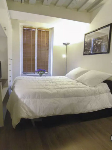 Furnished apartment - MARAIS