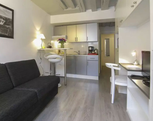 Furnished apartment - MARAIS