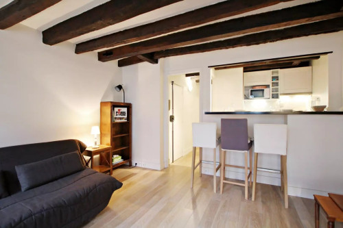 Charming studio in the Latin Quarter
