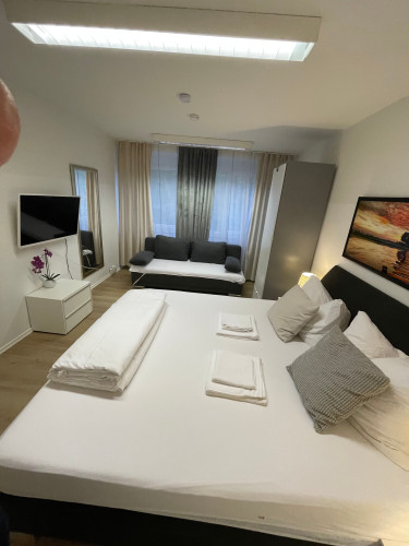 Lovely apartment (Mainz) - Gallery - 3