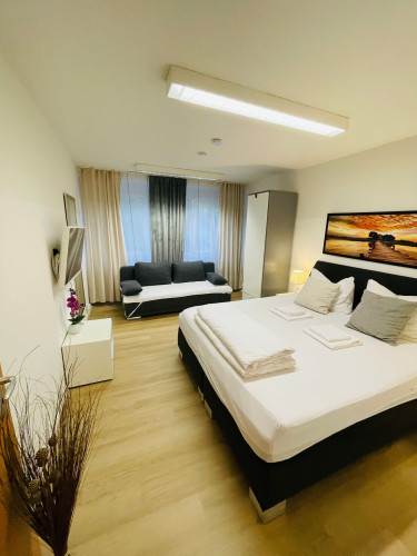 Lovely apartment (Mainz)