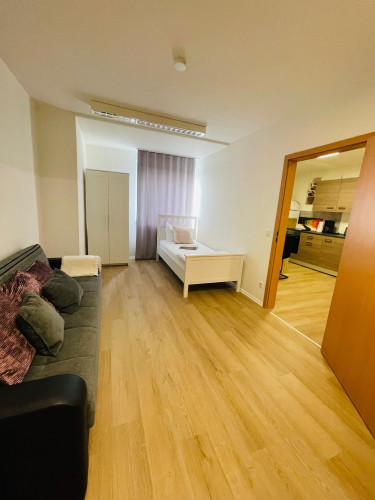 Lovely apartment (Mainz) - Gallery - 6