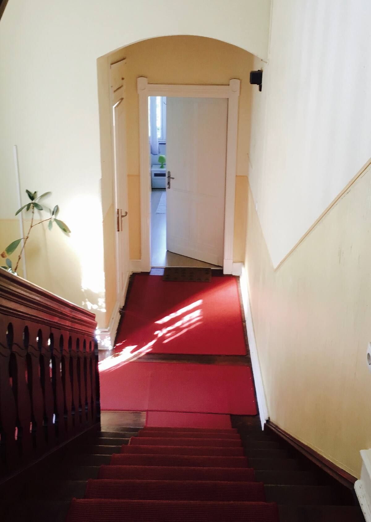 Spacious 4-Room-Apartment, 1000 Mbit/s - By Public Gardens - Bonn-Bad Godesberg - 3