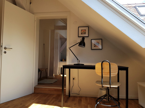 Cozy attic apartment near historic site - Gallery - 16