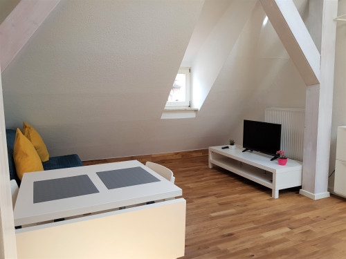 Cozy attic apartment near historic site - Gallery - 9