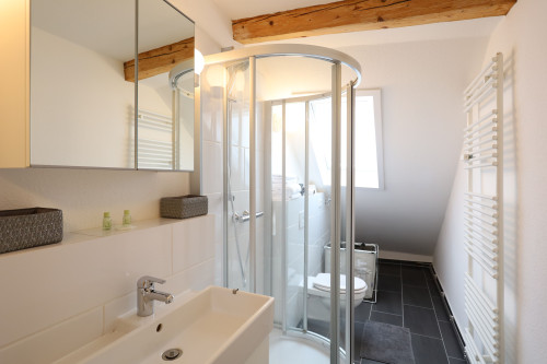 Cozy attic apartment near city center