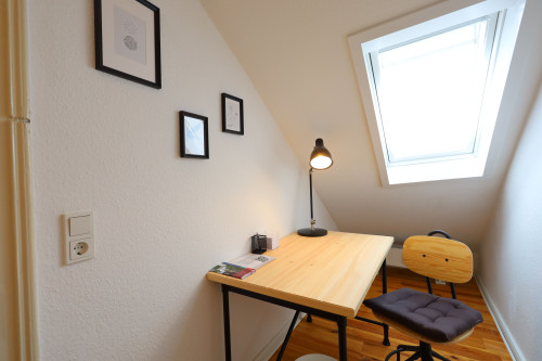 Cozy attic apartment near city center