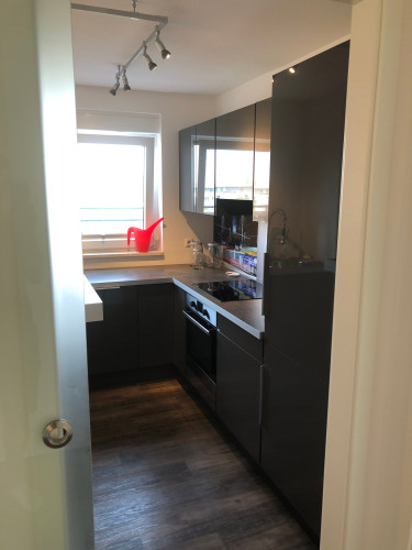 Bright & Quiet apartment in middle of Dresden