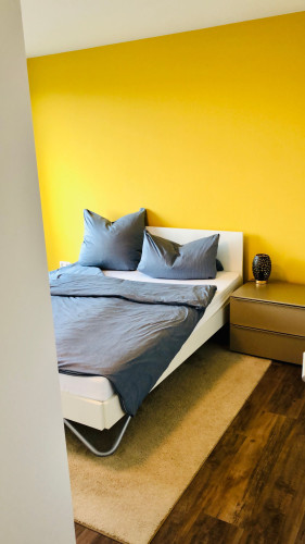 Bright & Quiet apartment in middle of Dresden