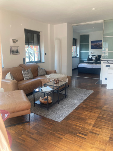 Luxus brick loft with huge roof terrace in Offenbach am Main - Gallery - 4