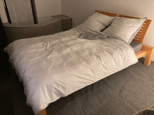 Bright and modern loft at the Schlosspark with garden