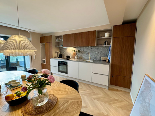 Stylish newly renovated apartment with lakeview